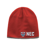 Winter Beanie